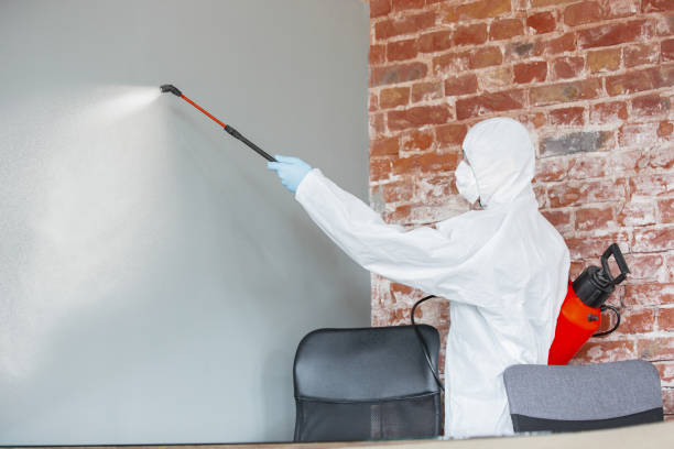 Environmental Consulting for Mold Prevention in Hawthorn Woods, IL