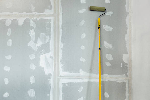 Best Asbestos and Lead Testing During Mold Inspection  in Hawthorn Woods, IL