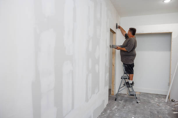 Best Environmental Consulting for Mold Prevention  in Hawthorn Woods, IL
