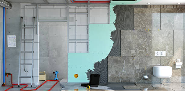 Best Real Estate Mold Inspection  in Hawthorn Woods, IL