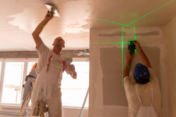 Best Comprehensive Air Testing for Mold Contaminants  in Hawthorn Woods, IL
