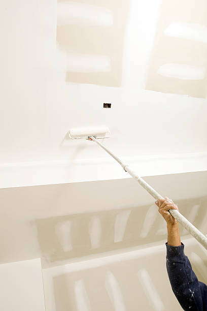 Best Attic Mold Removal  in Hawthorn Woods, IL