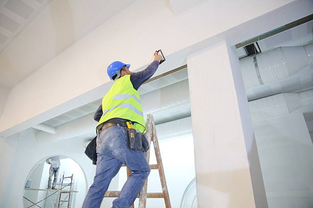 Reliable Hawthorn Woods, IL Mold Removal Solutions