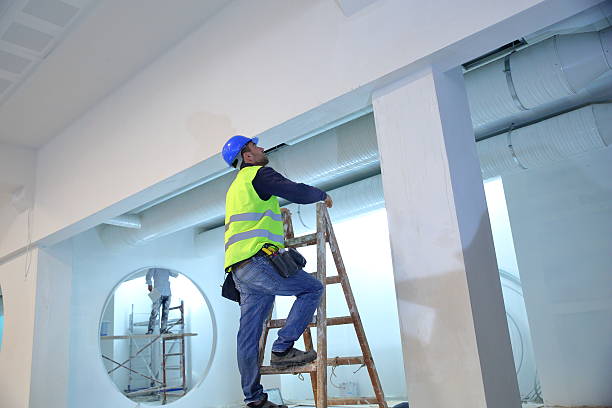 Best Air Quality Testing for Mold Spores  in Hawthorn Woods, IL
