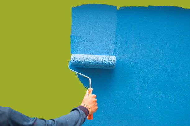 Best Mold Damage Restoration  in Hawthorn Woods, IL