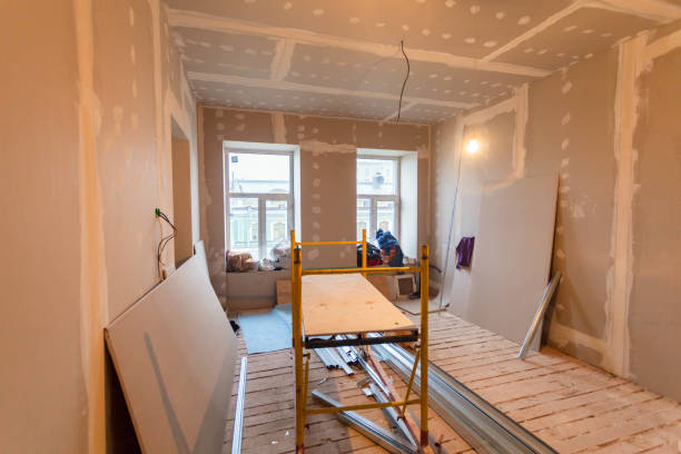 Best Airborne Mold Testing  in Hawthorn Woods, IL